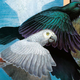 Detail from the cover of The Case of the Spellbound Child by Mercedes Lackey.